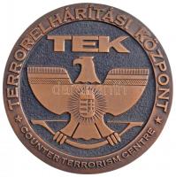 DN Terrorelhárítási Központ - TEK - Counter Terrorism Center bronz plakett (130mm) T:1