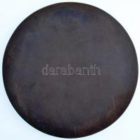 DN "Terrorelhárítási Központ - TEK - Counter Terrorism Center" bronz plakett (130mm) T:1