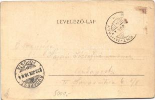 1900 Budapest XVI. Rákosszentmihály, uszoda, meleg fürdő. Kiszer Nándor 105.  (EB)