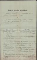 1894 Bonyhádi bűnügyi tárgyalás jegyzőkönyve, amelyben marhának és disznónak nevezték a panaszosnőt megvalósítva ezzel a becsületsértést