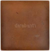 Beck Ö. Fülöp (1873-1945) 1906. "Gyulai Pál születése 80-ik évfordulójára a műbarátok köre 1906...