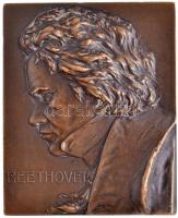 Ausztria ~1910. Beethoven Br plakett kitámasztóval. Szign.: Franz Stiasny (125,92g/65x53mm) T:1-,2 / Austria ~1910. Beethoven Br plaque with support on back. Sign.: Franz Stiasny (126,57g/65x53mm) C:AU,XF