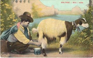 Malta, Maltese milk seller, goat milking, folklore (EK)