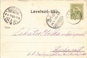 1904 Sárvár, Első Takarékpénztár, Spieler Jakab és Deutsch Ármin üzlete, útépítés (EK)