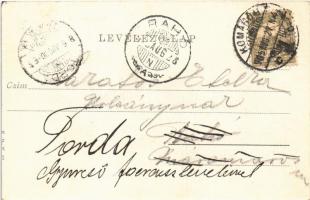 1905 Komárom, Komárnó; Daránnyi liget / park