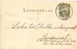 1903 Arad, Erzsébet (Sissi) emlék / statue of Empress Elisabeth of Austria  (Sisi) (EK)