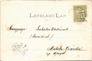 1905 Rahó, Rachov, Rahiv, Rakhiv; utca, járásbíróság, fürdőház. Némethi J. felvétele / street, court...