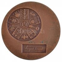 Lapis András (1942-) DN "Makó / Szeged Tourist" Br emlékérem nyitott tokban (42,5mm) T:1,1...