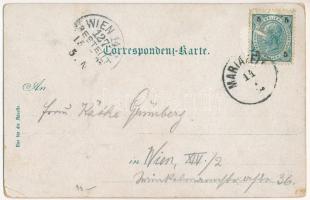 Mariazell (Steiermark), Bürgeralpe / pilgrimage church, mountain, lookout tower. Art Nouveau, floral...