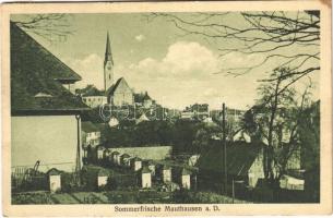 1931 Mauthausen, Sommerfrische