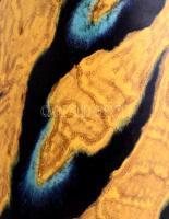 Gorka Lívia (1925-2011): Tigriscsíkos váza, festett mázas kerámia, jelzett, száján és alján lepattan...