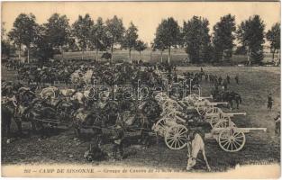 1914 Camp de Sissonne. Groupe de Canons de 75 m/m au Parc / WWI French military camp, cannons (EK)