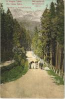 1912 Tátra, Magas-Tátra, Vysoké Tatry; Klotild út Tátraszéplak mellett / Klotilden-Strasse (Weszterheim) / road (EK)