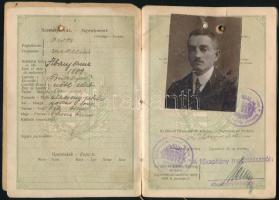 1923 A Magyar Királyság által kiállított fényképes útlevél orvos számára, ragasztott kötés / Hungarian passport