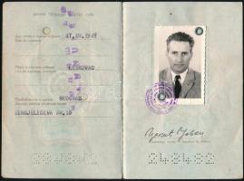 1970 Jugoszláv útlevél, sok líbiai vízummal / Jugoslav passport