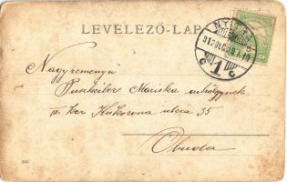 1912 Nyitra, Nitra; Vártemplom, Püspöki vár kapubejárata lovaskocsival / bishop's castle, entry...