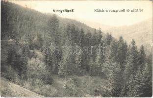 1909 Vihnye, Vihnyefürdő, Kúpele Vyhne; kilátás a rossgrundi tó gátjáról / general view from the dam (EK)