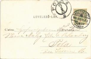 1905 Kecskemét, Városháza, piac. Komor Gyula kiadása (EK)