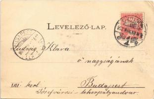 1902 Szolnok, Városháza, piac, Sebők Nándor, Konsitzky György, Fuchs Lipót és Fia üzlete és saját ki...