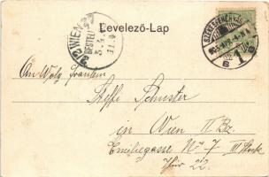 1905 Székesfehérvár, Városi színház, üzlet, lovaskocsi (fl)