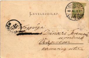 1903 Budapest VI. Andrássy út vége. Gannz Antal 20. (EK)