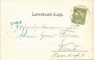 1902 Hatvan, Grassalkovich kastély. Hoffmann M. L. kiadása