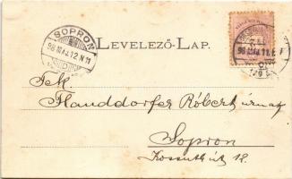 1898 Nagykőrös, Középpiac és Deák tér, Református és római katolikus templom, Városi szálloda, népba...