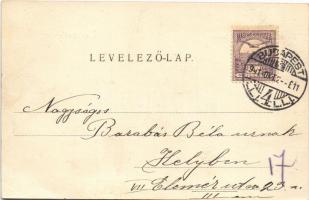 1901 Budapest XIV. Műcsarnok. Divald Károly 51. sz. (EB)