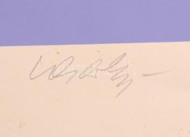 Victor Vasarely (1908-1997): Kompozíció rózsaszínben. Szitanyomat, papír, jelzett és számozott (77/9...