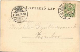 1906 Szeged, Múzeum (EK)