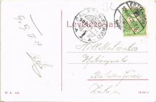 1909 Esztergom, téli látkép a híddal. W.L. 142. (EK)