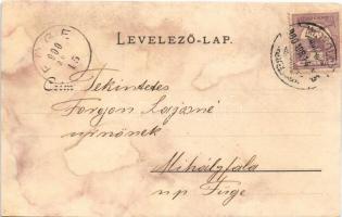 1900 Diósgyőr (Miskolc), M. kir. vas és acélgyár (r)
