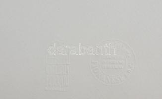 Nani Tedeschi (1939-2017): Ferrari és konstrukció Litográfia, papír, jelzett a litográfia alatt nyom...