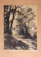 Arató Gyula (1889-1969): Őszi fák. Rézkarc, papír, jelzett, lap széle kissé foltos, 36×26,5 cm