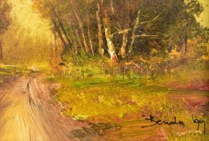 Benda Zoltán (1963-): Napfényes út. Olaj, farost, jelzett, fa keretben, 13×17,5 cm