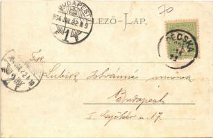 1904 Pécska, Magyarpécska, Pecica; Városháza. Holzeisen József kiadása / town hall (r)