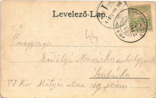 1904 Nagyszentmiklós, Sannicolau Mare; Városháza, Révai Miklós szobor, Polgári fiúiskola, kereszt / ...