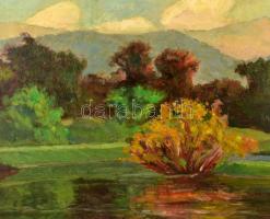 Balla Béla (1882-1965): Tóparti fények. Olaj, karton. Jelezve balra lent (halványan). Hátoldalán fel...