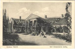 1930 Tab, Gróf Welsersheimb kastély. Foto Falus (EK)