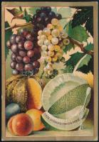 cca 1900 Rohonczy Gida törökbecsei nagybirtokos és országgyűlési képviselő uradalmi kertészetének és csemege szőlő telepének árjegyzéke, litografált illusztrációval, kis gyűrődésnyommal, 12x8 cm