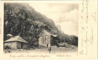 1900 Tátra, Magas-Tátra, Vysoké Tatry; Zerge szálló a Tarpatak-völgyben. Schmidt Edgar kiadása / Kolbach Tal, Hotel Gemse / hotel, valley (EK)