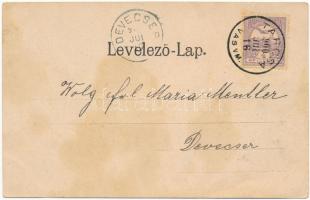 1900 Sóshegy, Sulzriegel (Tarcsa, Tarcsafürdő, Bad Tatzmannsdorf); Schlögel féle vendéglő, étterem, ...