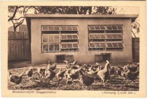 Meggyesfalva, Mureseni; Minta baromfiól. Erdélyrészi Hangya Szövetkezet kiadása, Ferenczy László felvétele / poultry house