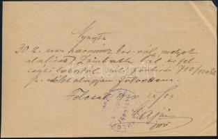 1920 Magyar Országos Véderő Egylet (MOVE) Magyar Hadifogoly Mentő Mozgalom gyűjtésre jogosító igazol...