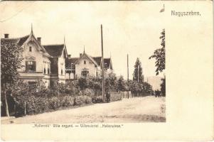 Nagyszeben, Hermannstadt, Sibiu; Hallerréti villanegyed, villák. Budovszky L. kiadása / Villenviertel "Hallerwiese" / villas (EB)