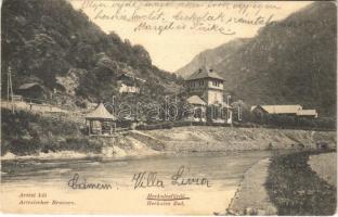 1907 Herkulesfürdő, Herkulesbad, Baile Herculane; Artézi kút. Divald Károly 898. sz. / Artesischer Brunnen / well
