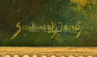 Szantrucsek (Santrucek) Jenő (1903-1965):.Afrikai lány. Olaj, vászon. Jelzett. Dekoratív fa keretben...