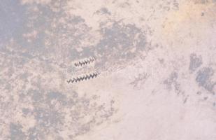 Antik ezüst (Ag) mustáros asztali kínáló üveg nélkül. Bécs, XIX. sz. közepe. Deformációkkal, jelzéss...