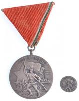 1959. Tanácsköztársasági Emlékérem ezüstözött Br kitüntetés, mellszalaggal, miniatűrrel, eredeti tokban T:1- NMK.: 701.