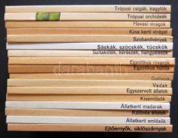 17 db Búvár zsebkönyv: rovarok, növények